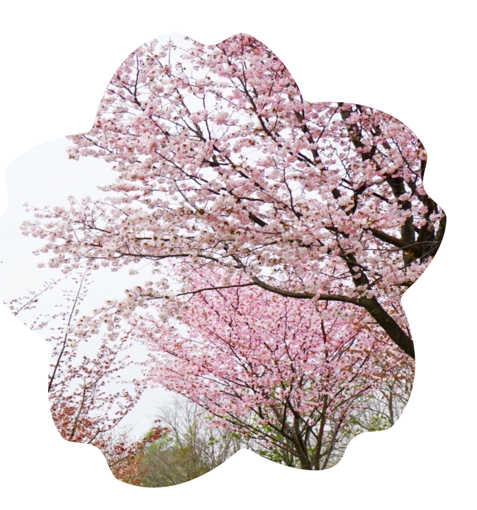 セカンドビュー花01