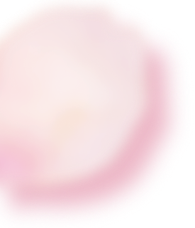 ファーストビュー花02