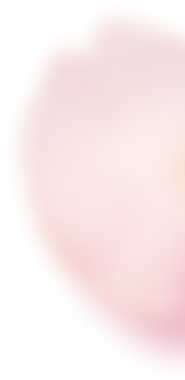 ファーストビュー花05