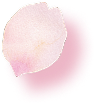 ファーストビュー花06