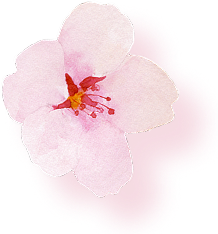 ファーストビュー花01