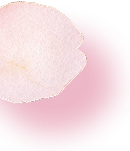 ファーストビュー花02