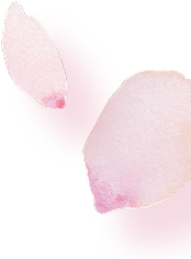 セカンドビュー花02