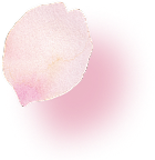 セカンドビュー花07