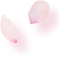セカンドビュー花10