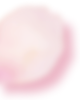 PC花びら02