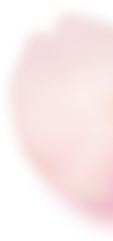 PC花びら03