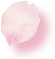PC花びら04
