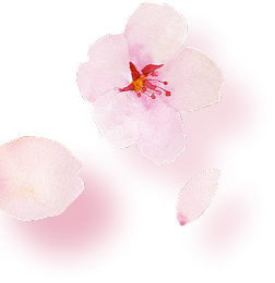 SP花びら02