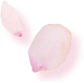 svPC花びら01