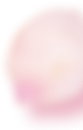 セカンドビュー花02